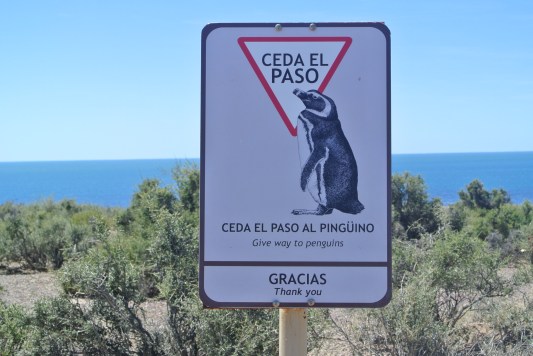 Yield to the penguins.