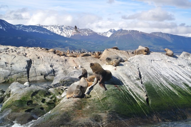 Our island of los lobos.