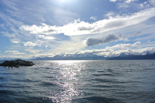 This boat ride was one of my favorite parts of visiting Patagonia.  The beauty on the Beagle Channel was unreal.