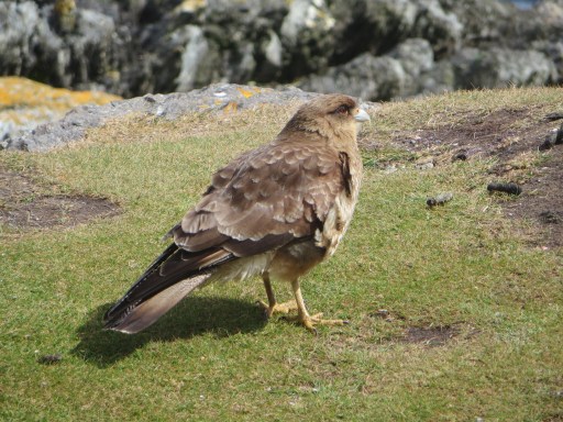 We met this guy along the way.