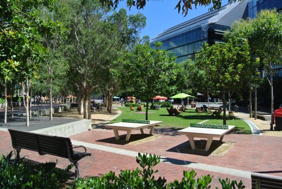 Darling Harbour park.