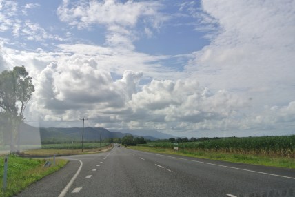 But enough about bats. . .heading toward the hotel!