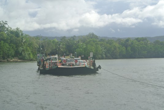 We boarded a barge with our car to cross the river into Cape Tribulation.  From there we took the rode up as far as we could before the paved road ended and it was only a dirt path.