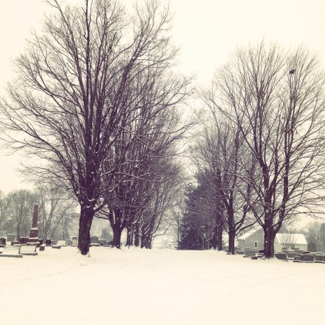 The stillness of a snow storm.