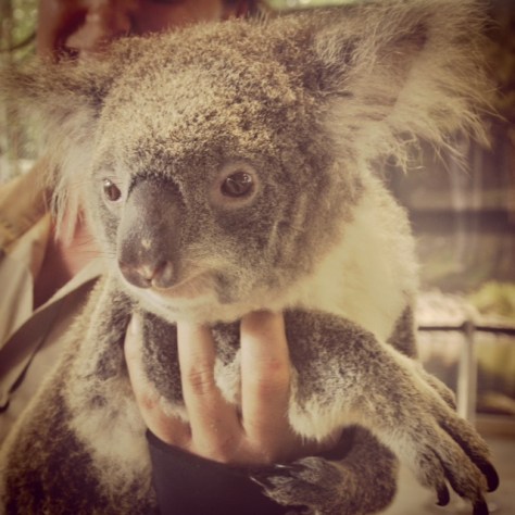 A sweet gal named Pearl.