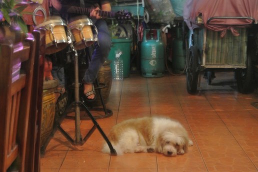 Even the dog loved it.  Trust me he did.