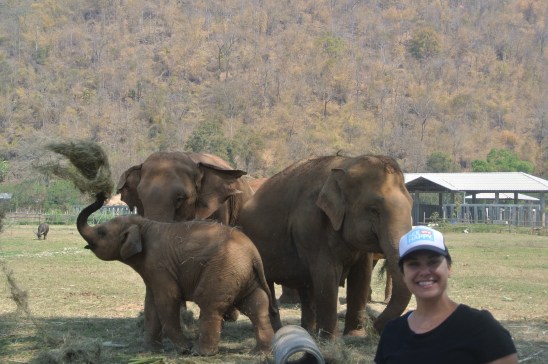 Just hanging with the herd.