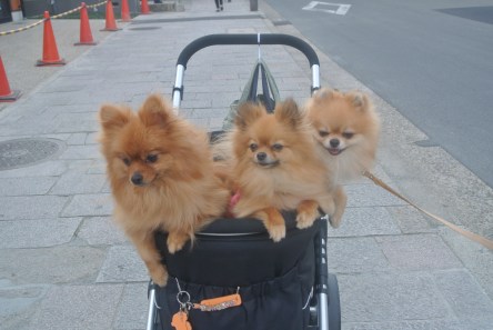 This crew was cute and they knew it.