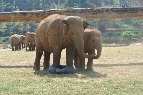 Can you tell we really loved this baby?