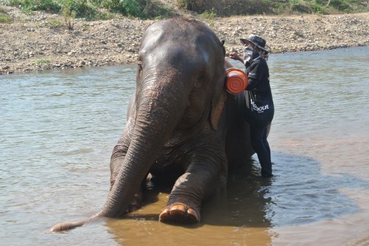 Splish-splash I was taking a bath.