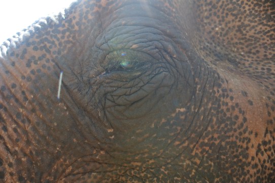 Up close and very personal.