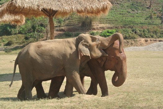 Aaand maybe just a little nibble here and there.