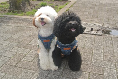 Matching your friend is great.