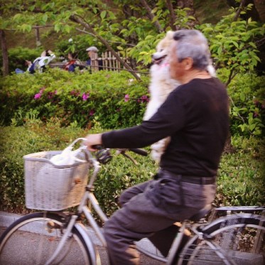 Who needs to chase bikes when you can ride them?