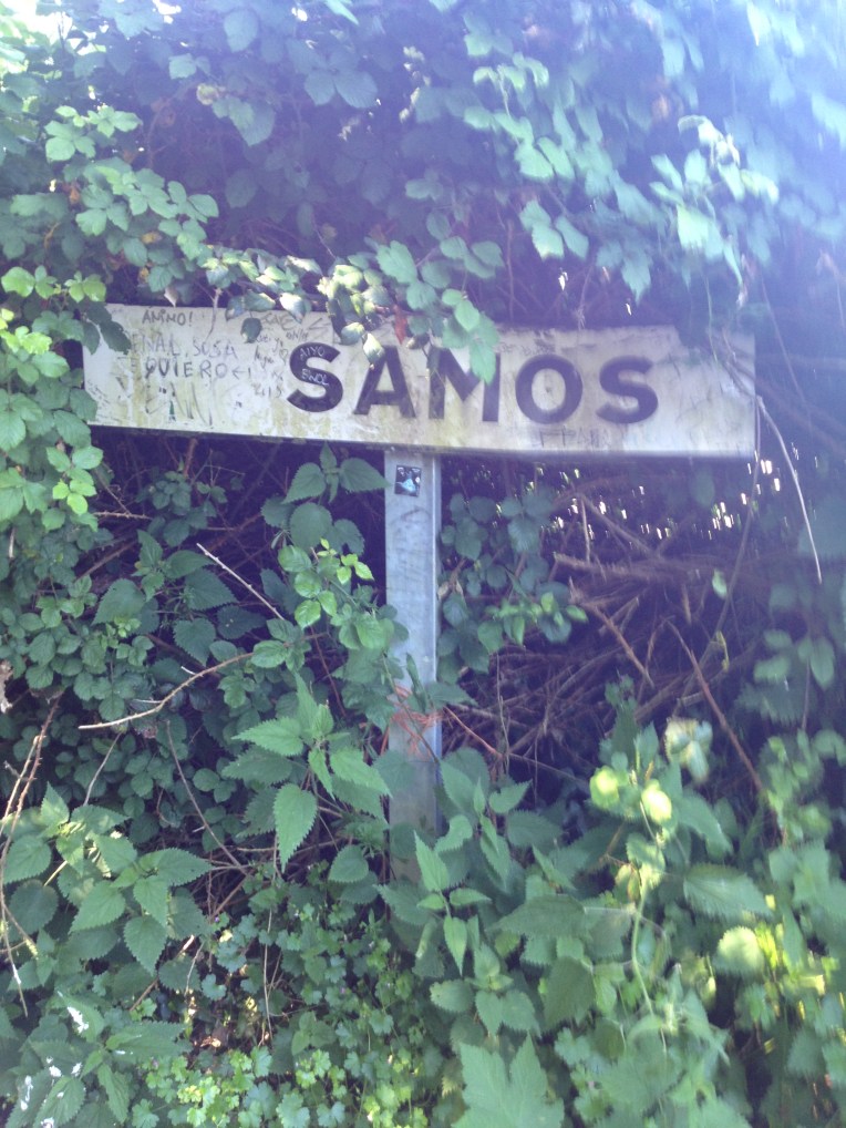 vamos a samos