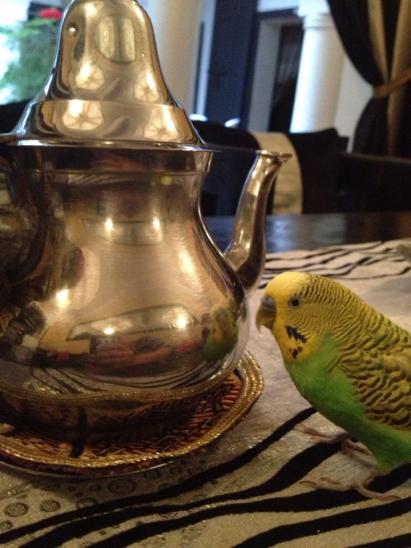 mint tea bird